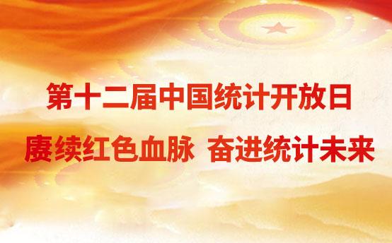 第十二届中国统计开放日